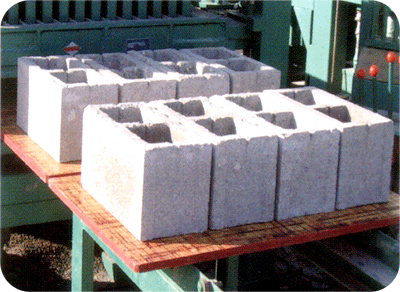 液壓磚機產(chǎn)品實景