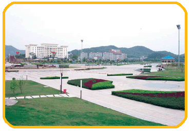 液壓磚機產(chǎn)品實景