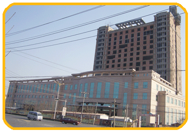 液壓磚機產(chǎn)品實景